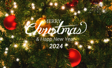 Wish You All A Merry Christmas And Happy New Year 2024!
